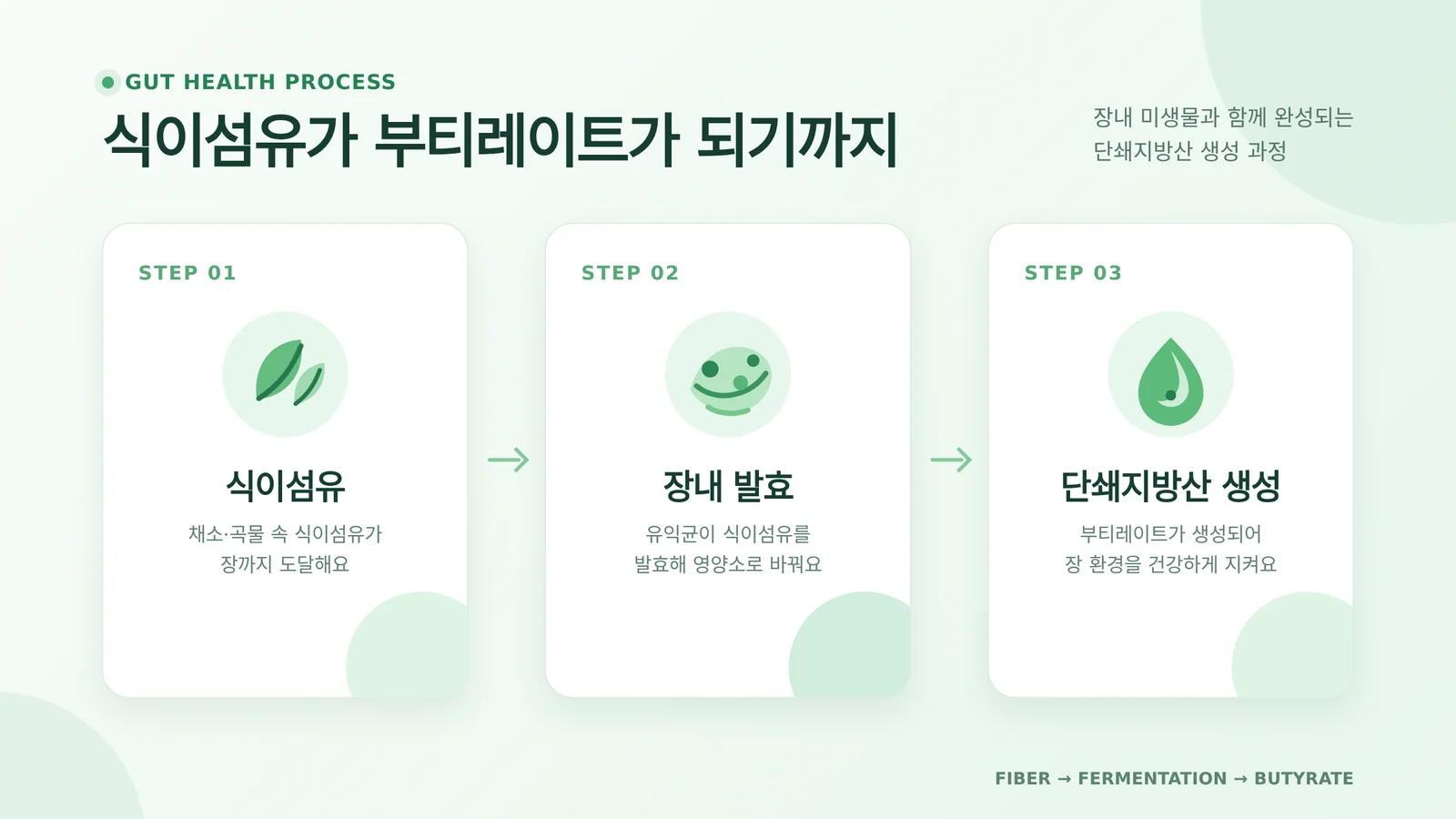 낙산균 고르는 법 관련 생활 정보