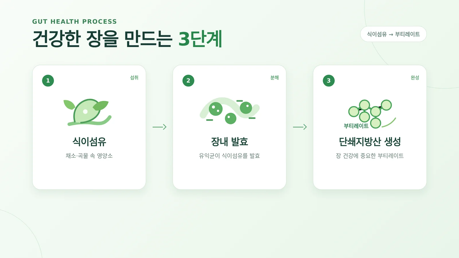 부티레이트 효능 확인을 위한 건강한 일상