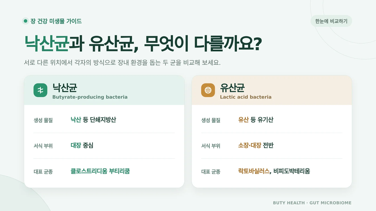 단쇄지방산 종류 확인을 위한 건강한 일상